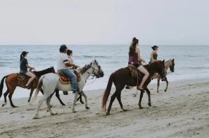 Horseback riding in Morocco | riding horses in the Sahara desert moroccan horse riding 