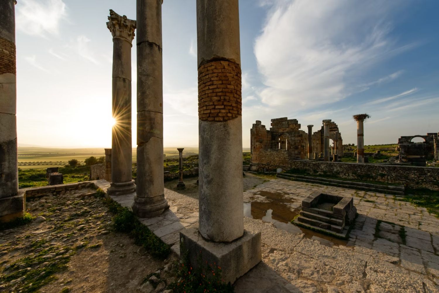 The Archaeological Site of Volubilis (2)