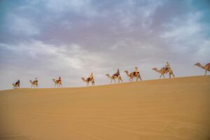 Best Places for Camel Rides in Morocco