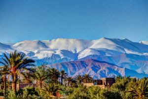 Marrakech to Atlas Mountains Day Trip