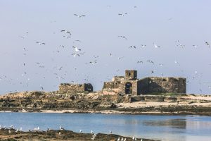 Morocco Atlantic Ocean Islands